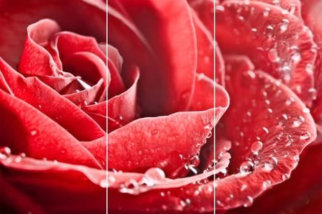 Панно Арт Декор Red Rose GC 306003-02
